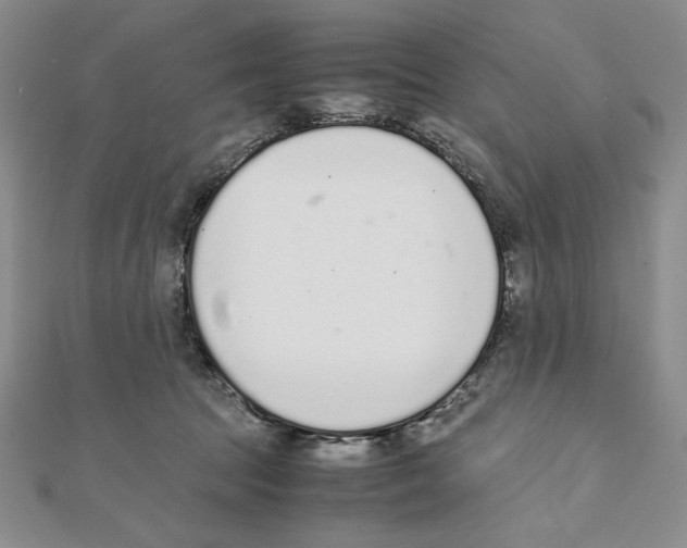 X0000111140369200907281117