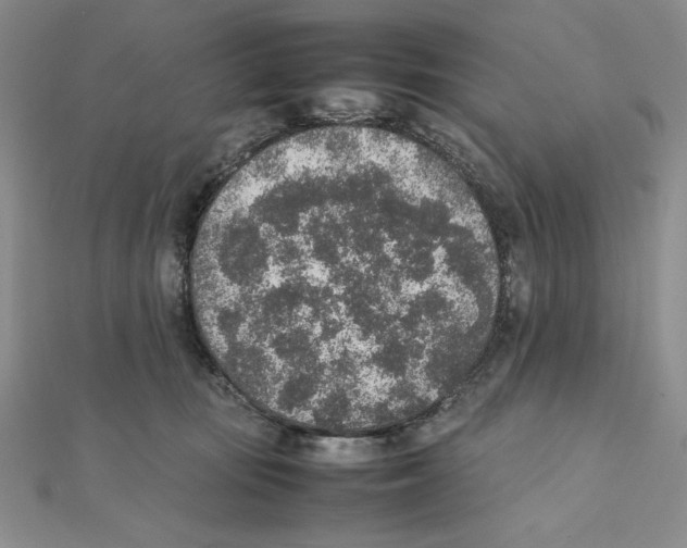 X0000111140371200907281117