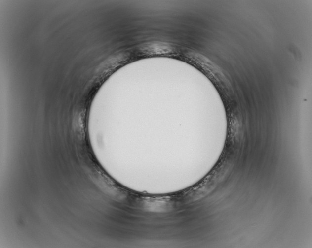 X0000111140373200907281117