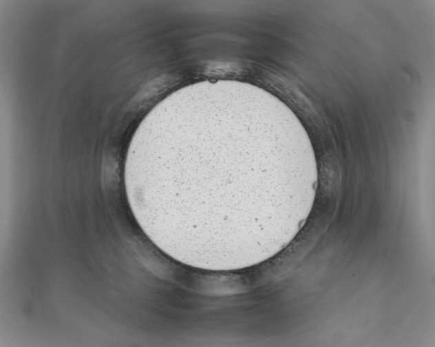 X0000111140375200907281117