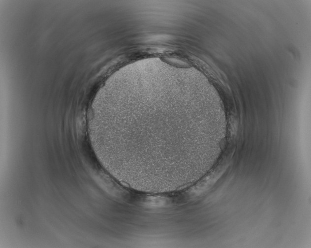 X0000111140376200907281117