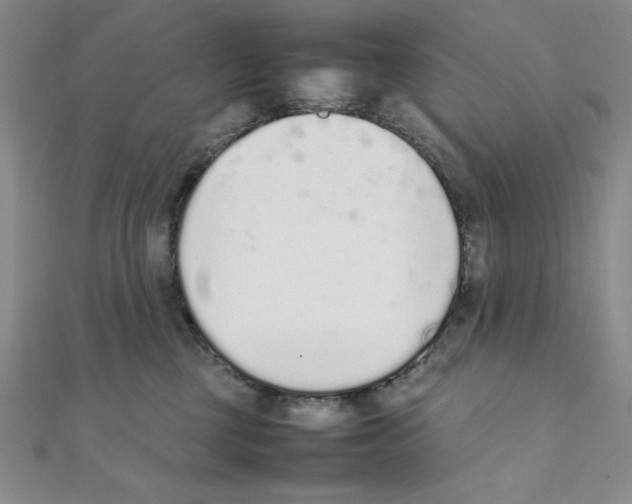 X0000111140377200907281117