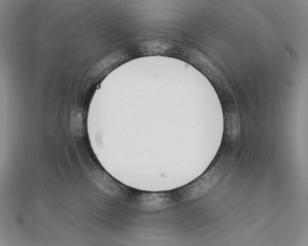 X0000111140378200907281117