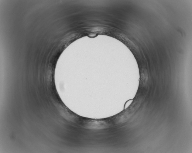 X0000111140379200907281117