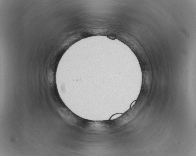 X0000111140380200907281117