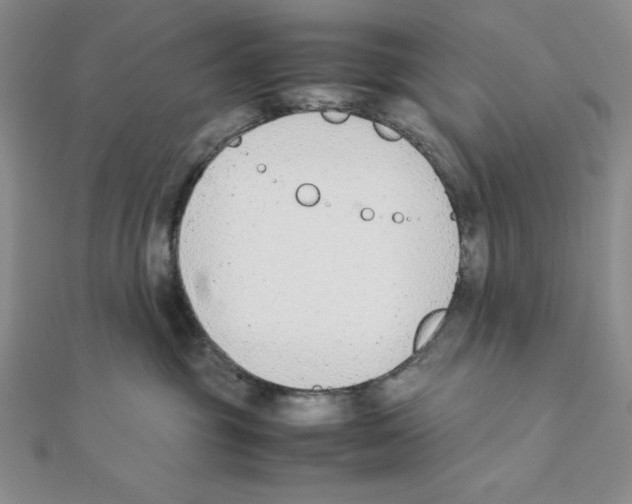 X0000111140381200907281117