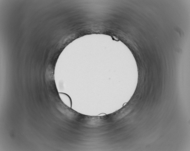 X0000111140384200907281117