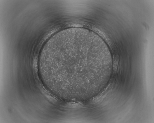 X0000111140386200907281116