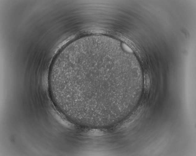 X0000111140390200907281116