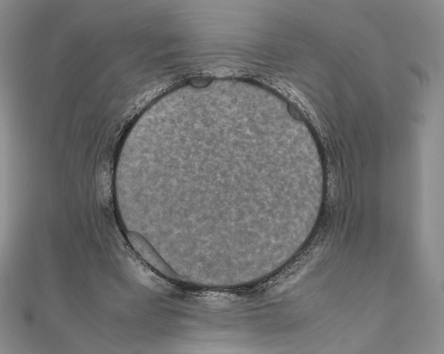 X0000111140393200907281116