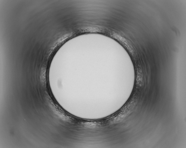 X0000111140394200907281116