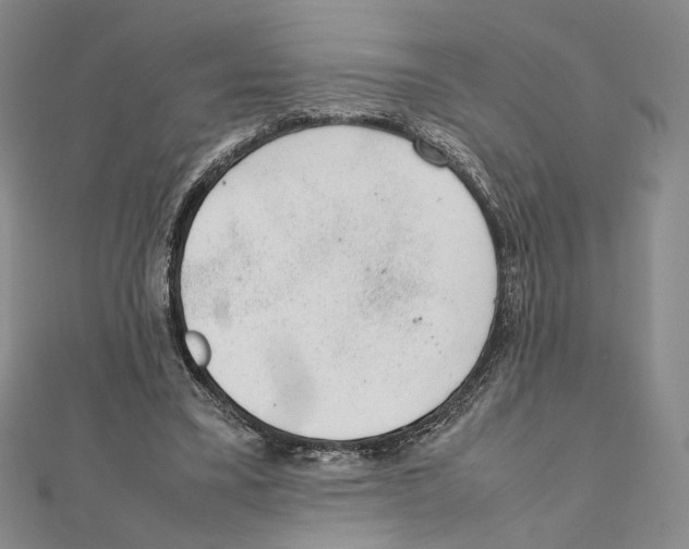 X0000111140395200907281116