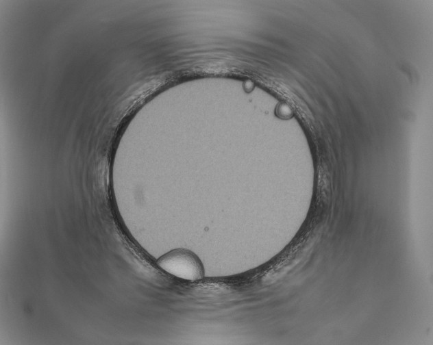 X0000111140397200907281116