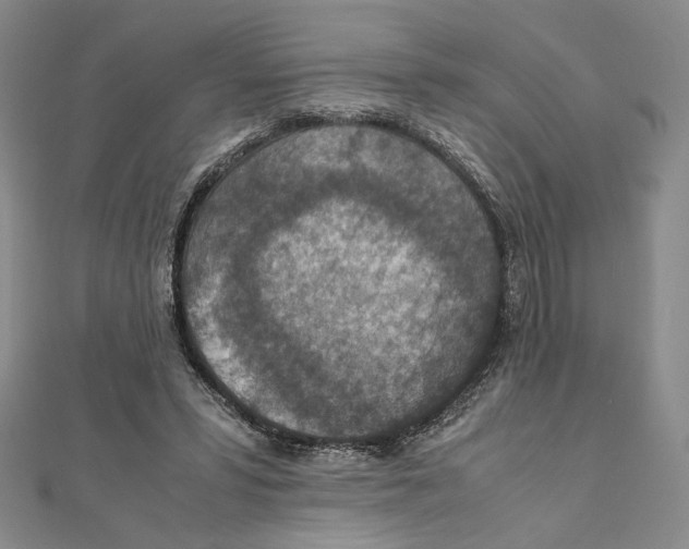 X0000111140399200907281116