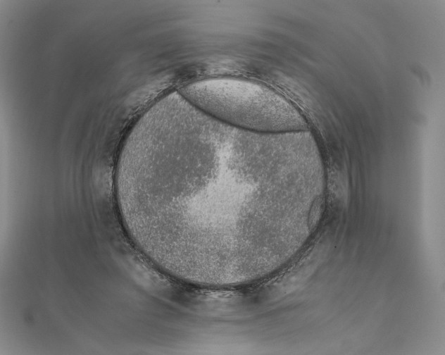 X0000111140401200907281116