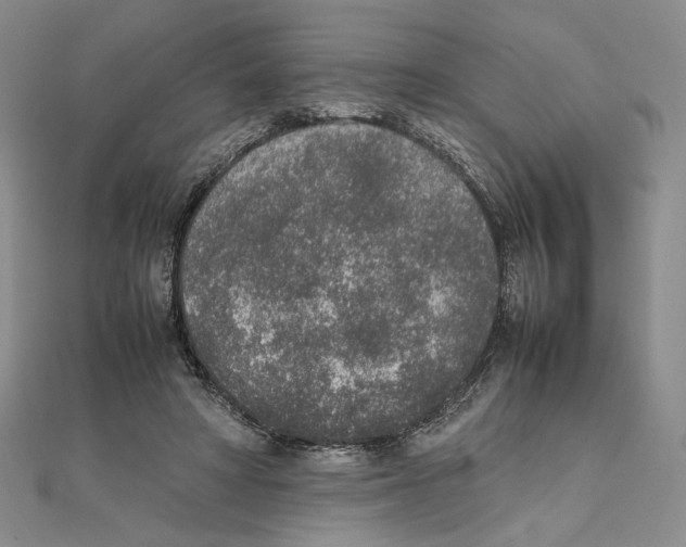 X0000111140402200907281116