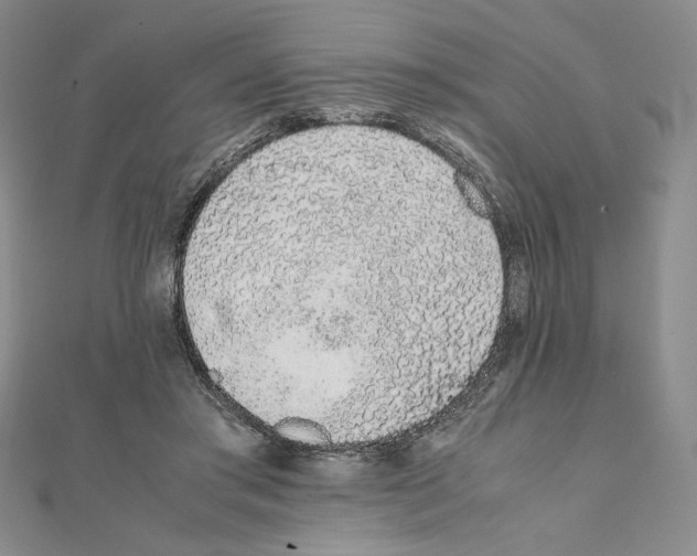 X0000111140405200907281116