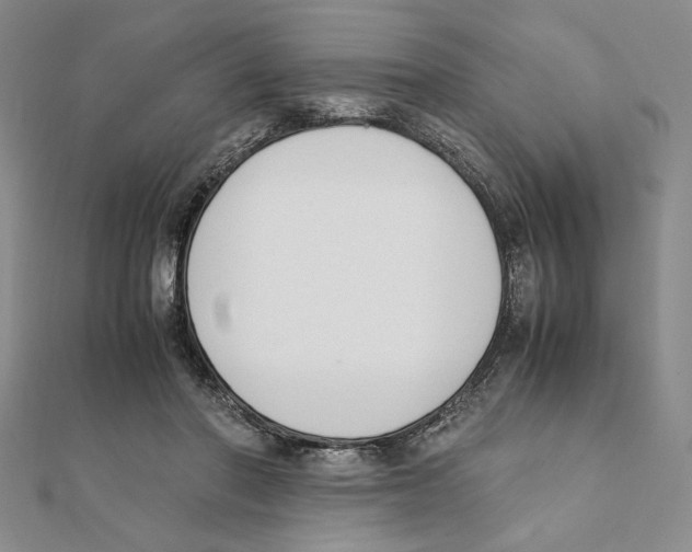 X0000111140406200907281116