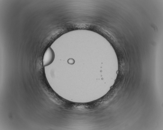 X0000111140407200907281116