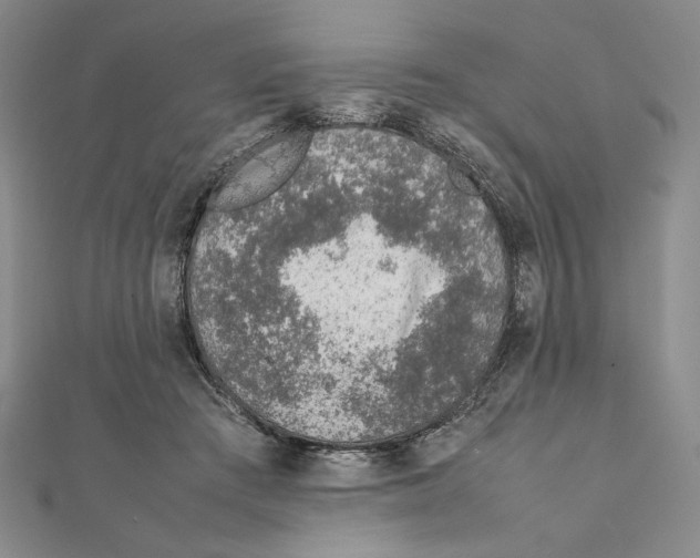 X0000111140409200907281116