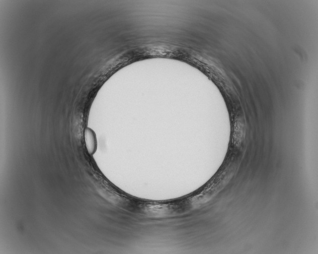 X0000111140413200907281116