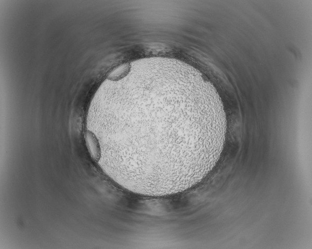 X0000111140417200907281116