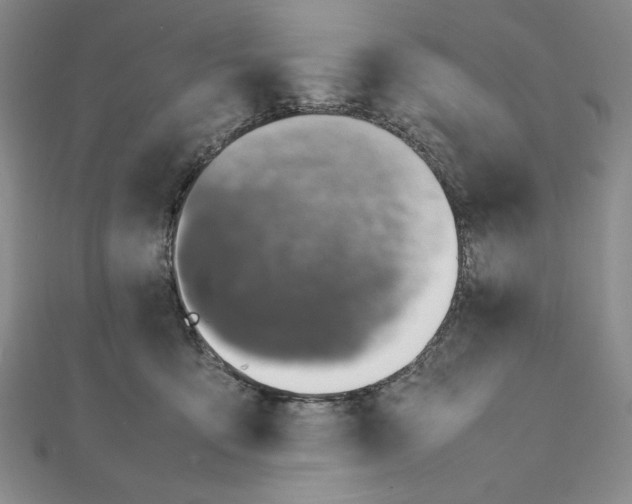 X0000111140419200907281116