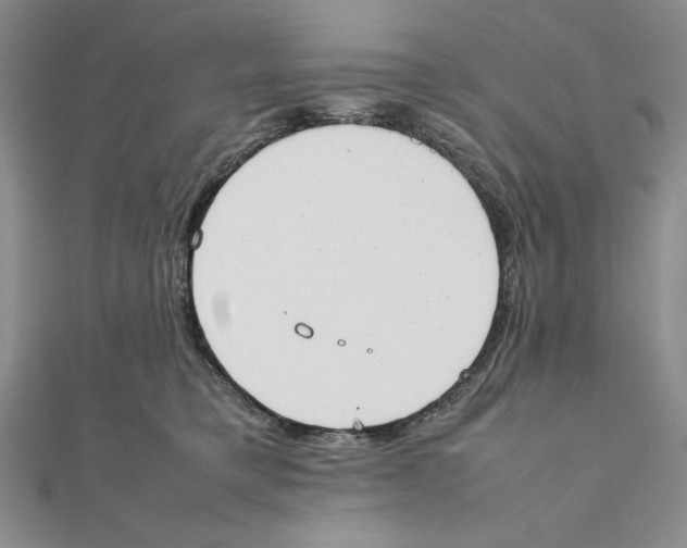 X0000111140421200907281116