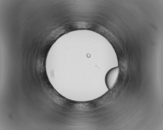 X0000111140422200907281116