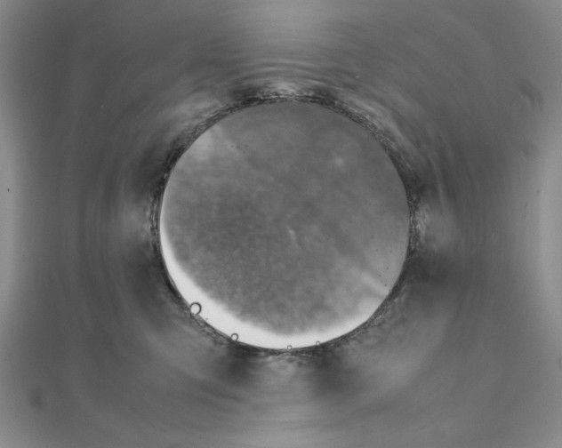 X0000111140423200907281116