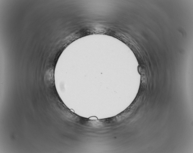 X0000111140425200907281116