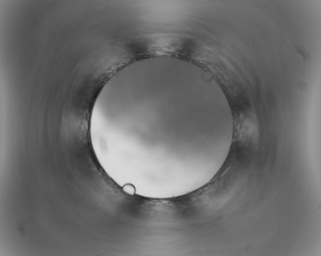 X0000111140427200907281116