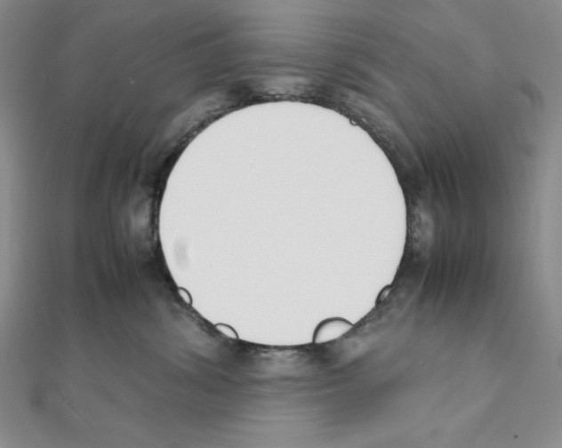 X0000111140428200907281116