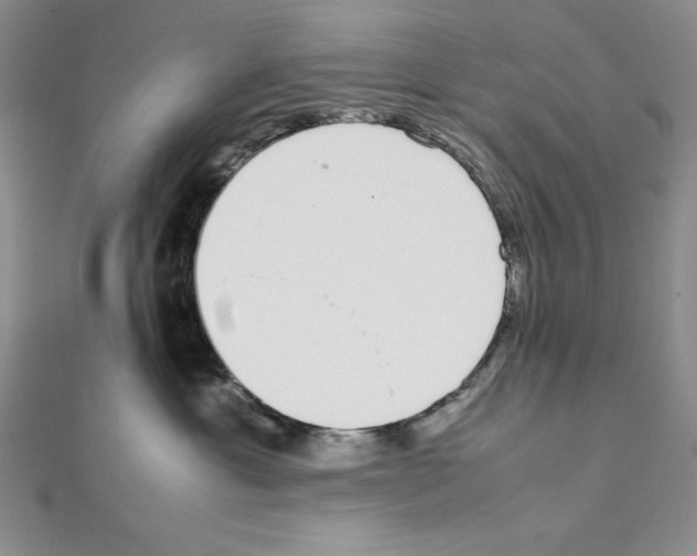 X0000111140429200907281116