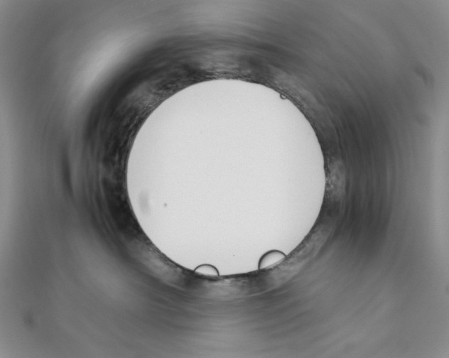 X0000111140430200907281116