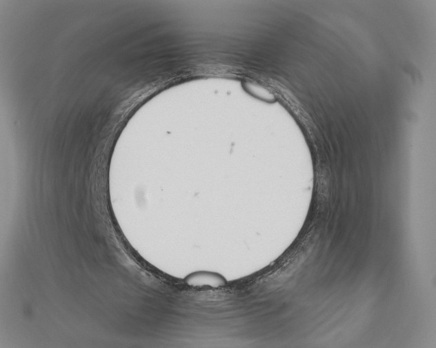 X0000111140433200907281115