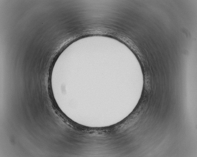 X0000111140434200907281115