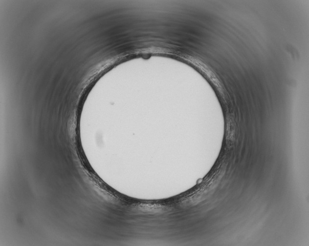 X0000111140437200907281115