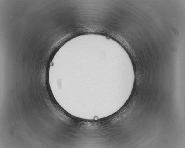 X0000111140442200907281115