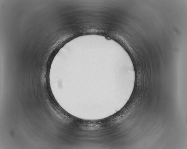 X0000111140443200907281115