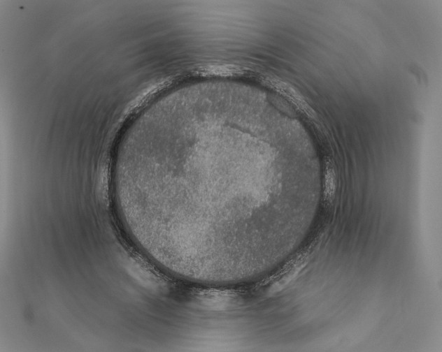 X0000111140444200907281115