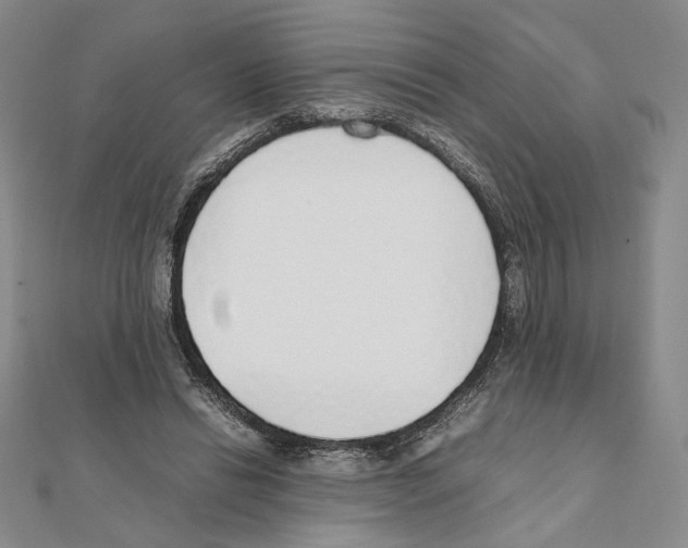 X0000111140446200907281115