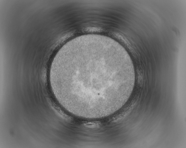 X0000111140447200907281115