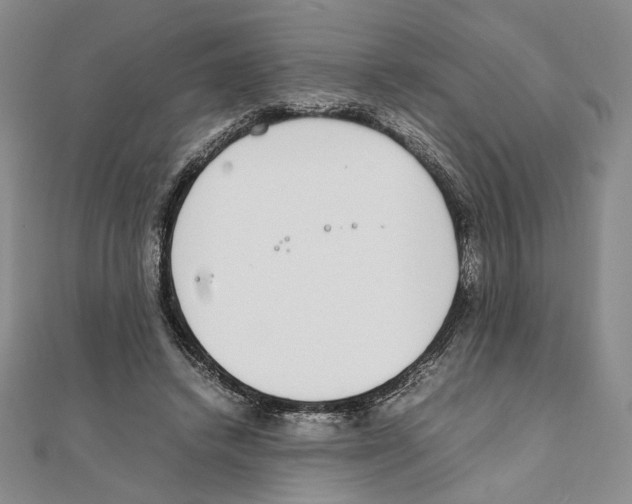 X0000111140448200907281115