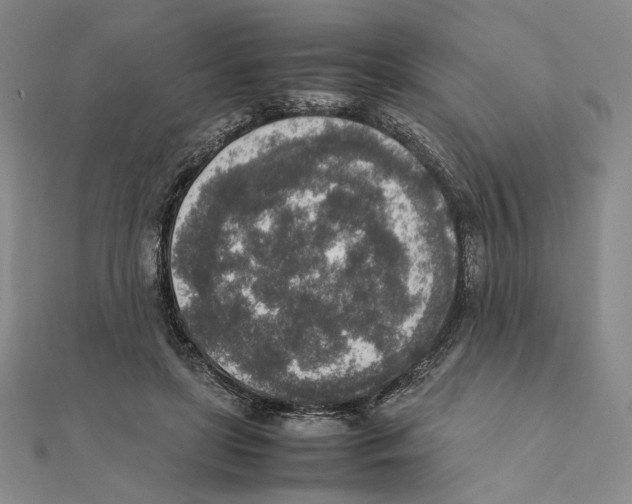 X0000111140451200907281115