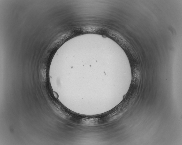 X0000111140452200907281115