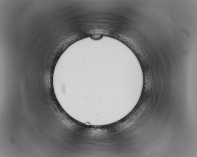 X0000111140453200907281115