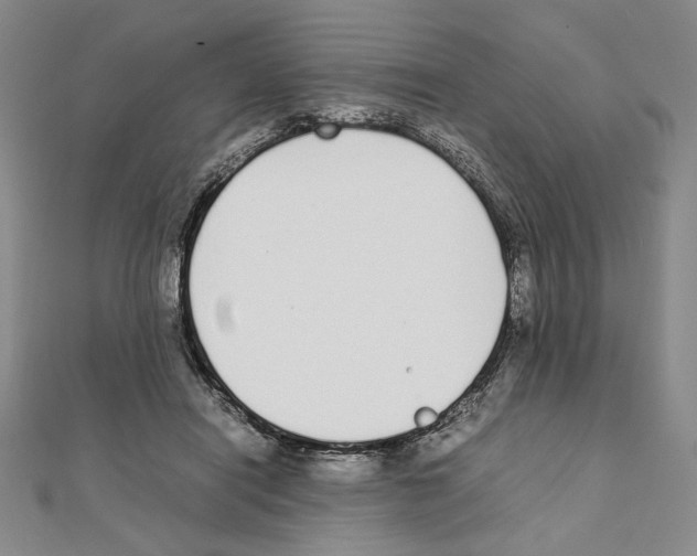 X0000111140454200907281115