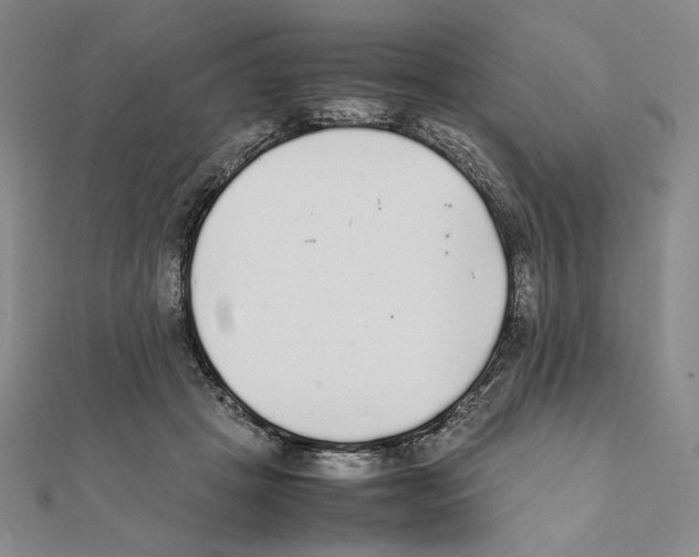 X0000111140457200907281115