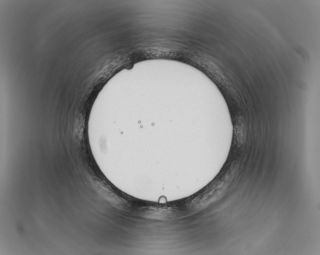 X0000111140458200907281115